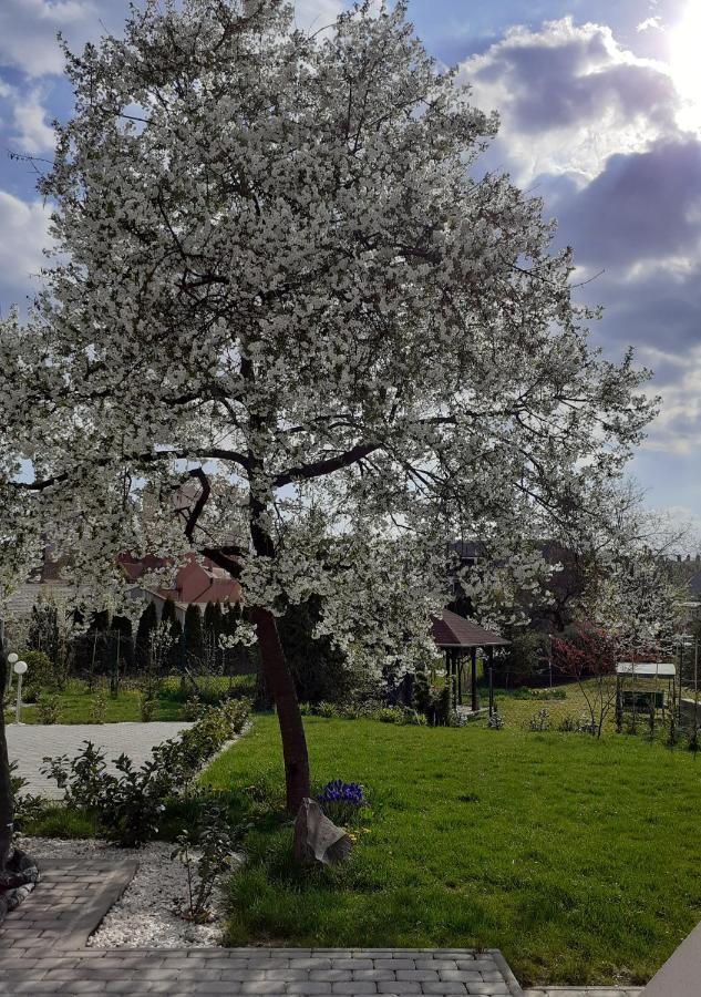 Premium Vendégház Eger Esterno foto